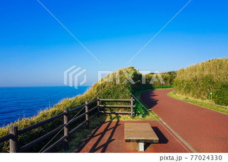 晴れ渡った神奈川県立城ヶ島公園、三浦半島南端から太平洋に飛び出した城ヶ島の海 晴れ渡った神奈川県立城ヶ島公園、三浦半島南端から太平洋に飛び出した城ヶ島の海 77024330