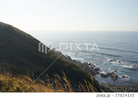 晴れ渡った神奈川県立城ヶ島公園、三浦半島南端から太平洋に飛び出した城ヶ島の海 晴れ渡った神奈川県立城ヶ島公園、三浦半島南端から太平洋に飛び出した城ヶ島の海 77024335
