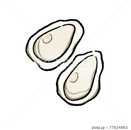 牡蠣のイラスト素材