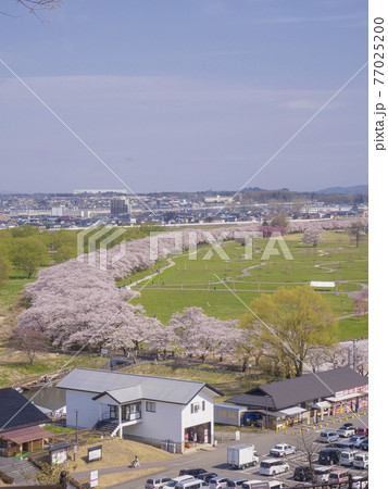 【岩手】北上展勝地の桜並木 【岩手】北上展勝地の桜並木 77025200