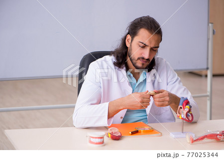 Young male student studying human anatomy Young male student studying human anatomy 77025344