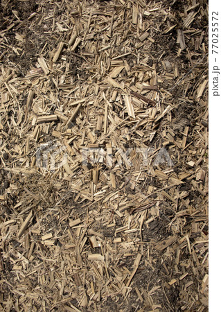 地面に木屑や枯れた植物が撒かれている写真 77025572