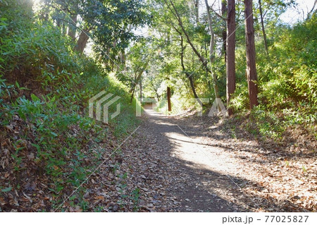 岩槻城　鍛冶曲輪水堀跡 77025827