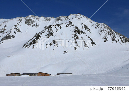 冠雪の立山連峰 77026342