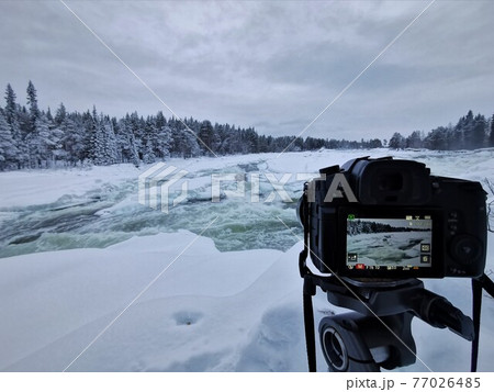 Storforsen, waterfall in Scandinavia in winter Storforsen, waterfall in Scandinavia in winter 77026485