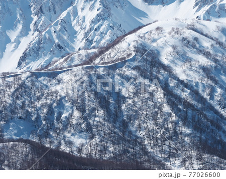 白馬岩岳スノーフィールドから小日向山と雪庇の稜線を望む 白馬岩岳スノーフィールドから小日向山と雪庇の稜線を望む 77026600