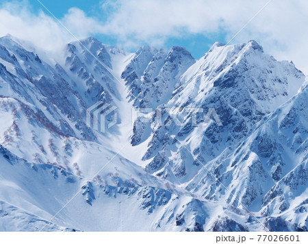 白馬岩岳スノーフィールドから不帰ノ剣を望む 77026601
