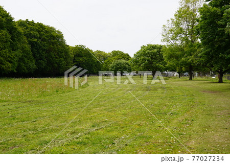史跡勝坂遺跡公園 史跡勝坂遺跡公園 77027234