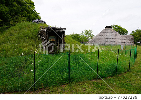 史跡勝坂遺跡公園 竪穴住居 77027239