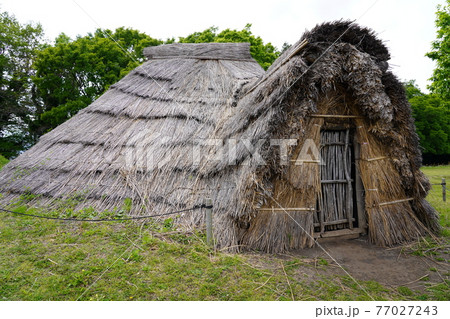 史跡勝坂遺跡公園 竪穴住居 史跡勝坂遺跡公園 竪穴住居 77027243