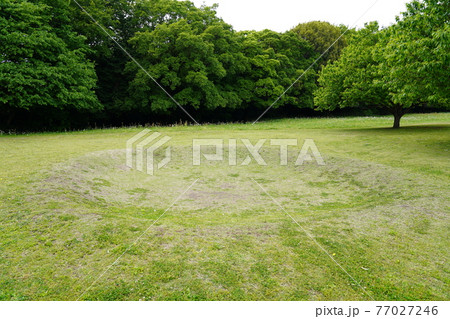 史跡勝坂遺跡公園 廃絶住居の窪地 77027246