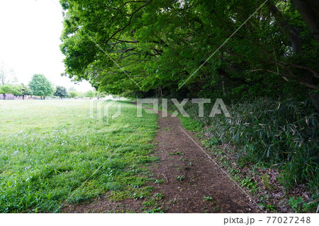 史跡勝坂遺跡公園 史跡勝坂遺跡公園 77027248