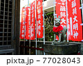 稲荷神社のキツネ 77028043