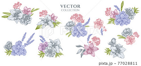 Flower bouquet of pastel anemone, lavender, rosemary everlasting, phalaenopsis, lily, iris Flower bouquet of pastel anemone, lavender, rosemary everlasting, phalaenopsis, lily, iris 77028811