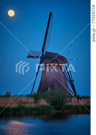 Windmills at Kinderdijk in Holland. Netherlands Windmills at Kinderdijk in Holland. Netherlands 77029716