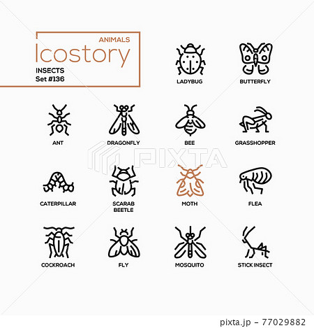 Insects collection - modern line design style icons set 77029882