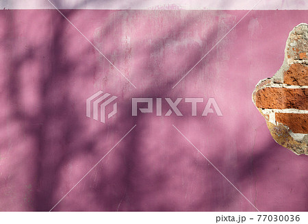 Texture of cracked wall with peeling pink paint Texture of cracked wall with peeling pink paint 77030036