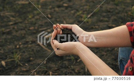 The hands of a peasant woman hold a handful of fertile soil with their bare hands, a view from above. The concept of agriculture, agribusiness 77030516