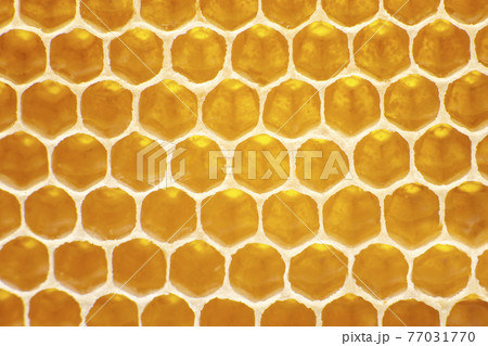 Fresh bee honey in combs. natural food background texture Fresh bee honey in combs. natural food background texture 77031770