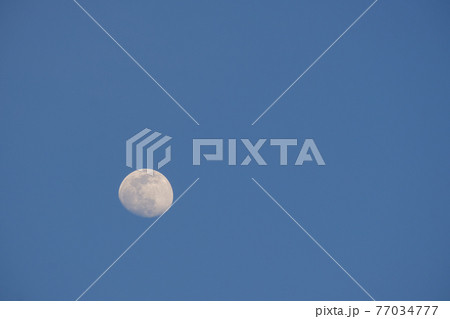 夕方の月(13夜月、月齢12)・2021年4月24日 夕方の月(13夜月、月齢12)・2021年4月24日 77034777