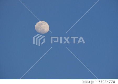 【月】月(13夜月、月齢12)・2021年4月24日 夕方 【月】月(13夜月、月齢12)・2021年4月24日 夕方 77034778