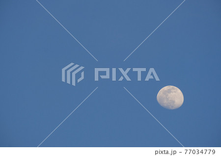 夕方の月(13夜月、月齢12)・2021年4月24日 夕方の月(13夜月、月齢12)・2021年4月24日 77034779
