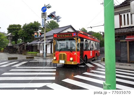 神奈川県　 雨の鎌倉　鶴岡八幡宮　6月　レトロ調バス 77035070