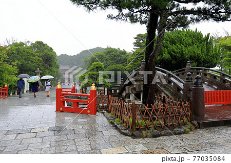 神奈川県 雨の鎌倉 鶴岡八幡宮 6月 太鼓橋の写真素材