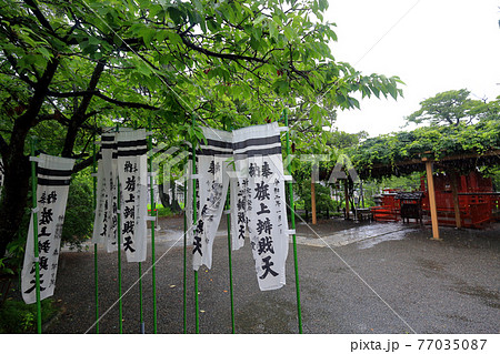神奈川県 雨の鎌倉 鶴岡八幡宮 6月 旗上弁財天社 神奈川県 雨の鎌倉 鶴岡八幡宮 6月 旗上弁財天社 77035087