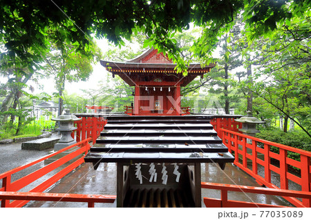 神奈川県 雨の鎌倉 鶴岡八幡宮 6月 旗上弁財天社 神奈川県 雨の鎌倉 鶴岡八幡宮 6月 旗上弁財天社 77035089