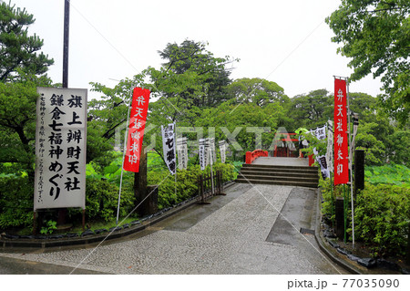 神奈川県 雨の鎌倉 鶴岡八幡宮 6月 旗上弁財天社 神奈川県 雨の鎌倉 鶴岡八幡宮 6月 旗上弁財天社 77035090