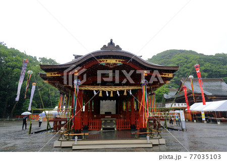 神奈川県　 雨の鎌倉　鶴岡八幡宮　6月　舞殿 77035103