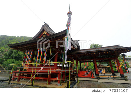 神奈川県　 雨の鎌倉　鶴岡八幡宮　6月　舞殿 77035107