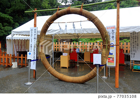 神奈川県　 雨の鎌倉　鶴岡八幡宮　6月　大祓　茅の輪 77035108