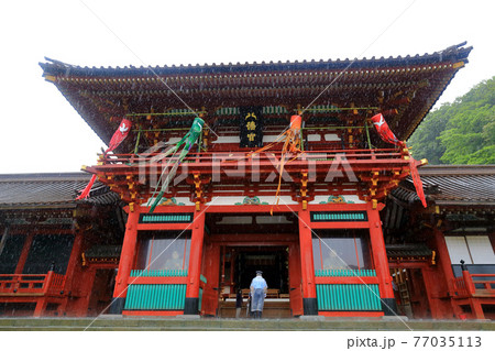 神奈川県 雨の鎌倉 鶴岡八幡宮 6月 楼門 神奈川県 雨の鎌倉 鶴岡八幡宮 6月 楼門 77035113