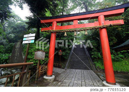 神奈川県　 雨の鎌倉　鶴岡八幡宮　6月　お祓い所 77035120