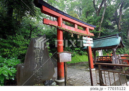 神奈川県　 雨の鎌倉　鶴岡八幡宮　6月　お祓い所 77035122