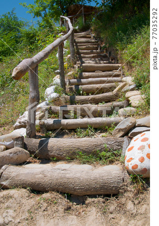 Ladder in the forest 77035292