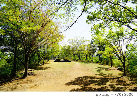 足利市　織姫公園　鏡岩南広場 77035600