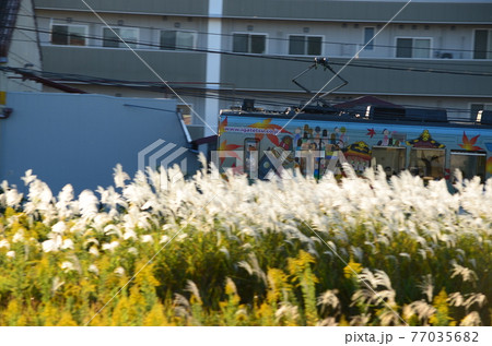 電車 秋の伊賀鉄道 電車 秋の伊賀鉄道 77035682