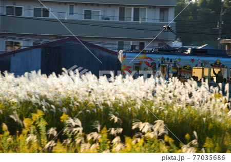 電車 秋の伊賀鉄道 電車 秋の伊賀鉄道 77035686