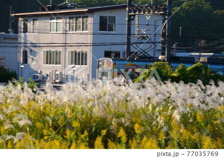 電車　秋の伊賀鉄道 77035769