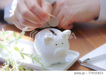 豚の貯金箱にお金を入れる女性 豚の貯金箱にお金を入れる女性 77035825
