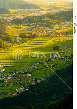 夏の田園風景（夕方）：平丸峠より飯山市の眺め 77036289