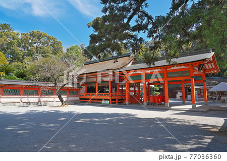 【香椎宮】 福岡県福岡市東区香椎 77036360