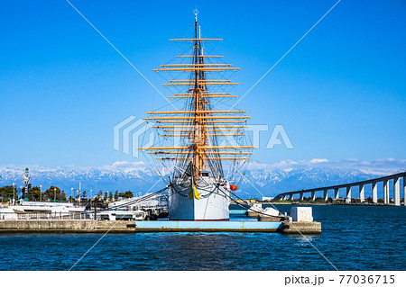 海王丸と新湊大橋 海王丸と新湊大橋 77036715