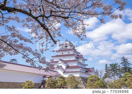 福島県 春の鶴ヶ城 福島県 春の鶴ヶ城 77036896