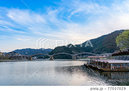 山口県岩国市　錦帯橋と屋形船 77037029
