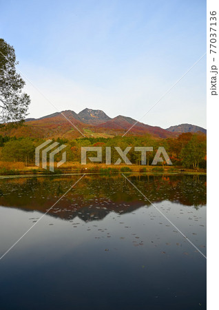 妙高山 いもり池 秋 妙高市 妙高山 いもり池 秋 妙高市 77037136