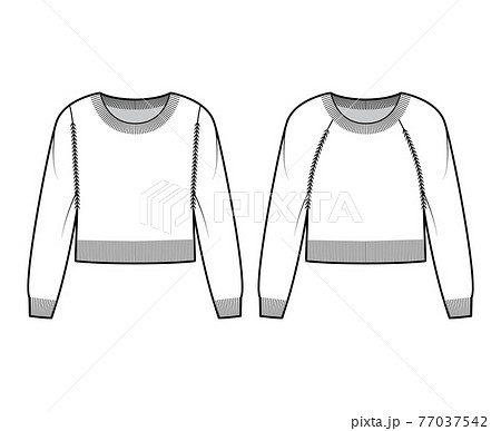 Set of Round neck cropped Sweaters technical fashion illustration with long raglan sleeves, waist length, knit trim Set of Round neck cropped Sweaters technical fashion illustration with long raglan sleeves, waist length, knit trim 77037542
